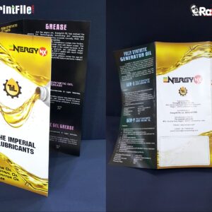 Catalog & Brochure Designing