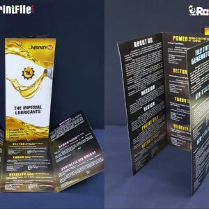 Catalog & Brochure Designing