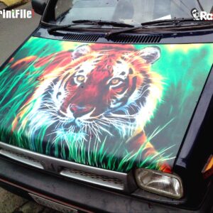 Vehicle Customized Graphics Designing in Bonnet