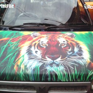 Vehicle Customized Graphics Designing in Bonnet